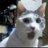 Derycklafortune's profile image