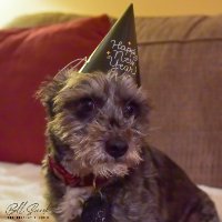 Bill Snook (@jamminsnookie) 's Twitter Profile Photo Bill Snook (@jamminsnookie) 's Twitter Profile Photo