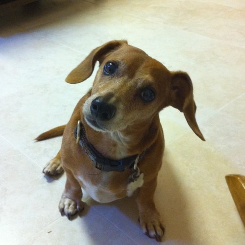 mtgirl47's profile picture. 