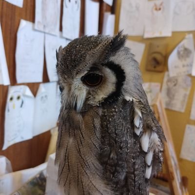 9Nu68y7Vb6EpLaF's profile picture. 気ままにのんびり楽しんでるよ