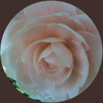各種取引・その他募集用アカウント。 成人済社会人。★先着順ではありませんので、落ち着いてツイプロ全文お読みください。ジャ務所関係も