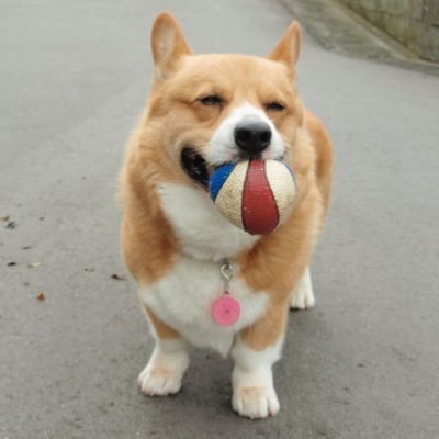 yumiyumiyumi94's profile picture. 7歳の女の子と4歳の男の子を育てるワーママ❤️新潟出身・埼玉在住✨RT多め！日常の事も呟くよ💕 好き➡️子と旦那💖懸賞☘グルメ🍖旅行✈️ディズニー🐭ONE OK ROCK♫かてぃんさん🎹鬼滅👹同じ趣味の方仲良くしてね🥺ご縁は丁寧に報告します！ #ゆみゆみの当選報告 #ゆみゆみの日常