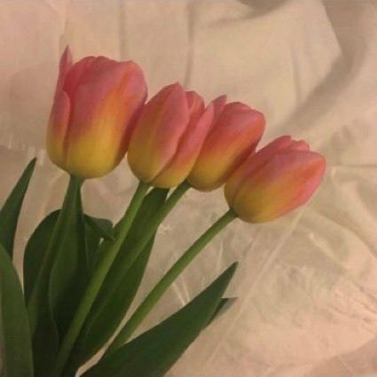 genie_eternel's profile picture. ❤지니는 진아꺼❤