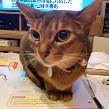 ゆかび Obsjnquoxdnypil Twitter ゆかび Obsjnquoxdnypil Twitter