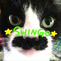 🐯🎪💚よっち💚🤡🗼 (@hanapiko1130) 's Twitter Profile Photo 🐯🎪💚よっち💚🤡🗼 (@hanapiko1130) 's Twitter Profile Photo