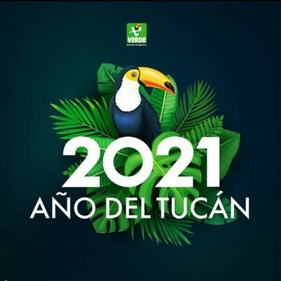 Cuenta Oficial del Partido Verde Ecologista de México, Santo Domingo Tehuantepec, Oaxaca