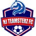 NJ Teamsterz FC™️ (@NJ_Teamsterz_FC) Twitter profile photo