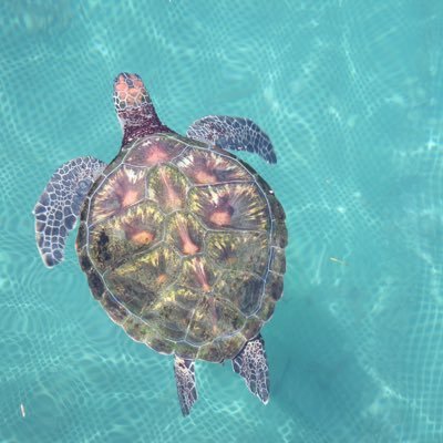 multiperspectiv's profile picture. 