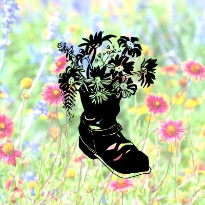 Wildflower Allianceさんのプロフィール画像