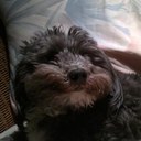 steven neufeld - @kz3addict - Twitter