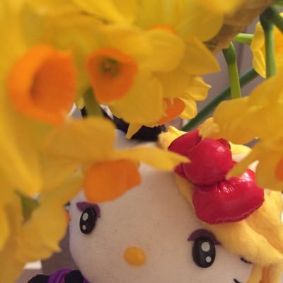Mika 💙💛さんのプロフィール画像