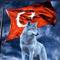 Cruel life 🇹🇷 (@cruellife5) 's Twitter Profile
