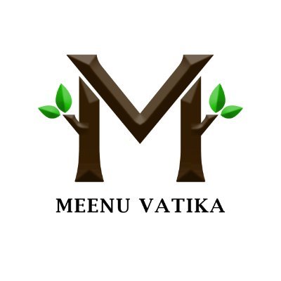 MeenuVatika's profile picture. HAND-CRAFTED TREES
.
Beautifully hand-crafted trees to add natural vibes in your house. #meenuvatika #trees
.
🌱 हर-घर हरियाली 🌱
.
✉️ DM us for Orders