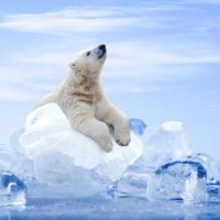 なおこ先生👶キンダーカウンセラー (@nmaruyamakc) 's Twitter Profile Photo