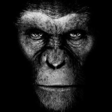 Shawnscarface's profile picture. IT pro
