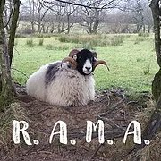 Refuge for Aged & Mistreated Animals (RAMA) 🐴🐏🐕