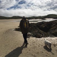 Scottish not British🏴🇩🇰🌈 (@ghwesties21) 's Twitter Profile