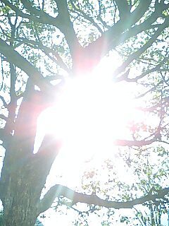deepforest11's profile picture. 言乃葉堂まさとしTwitter支店。 京都から色々な言葉をお届けします♪ 依頼があれば何でもチャレンジo(｀▽´)o     http://t.co/O0wQVloGot