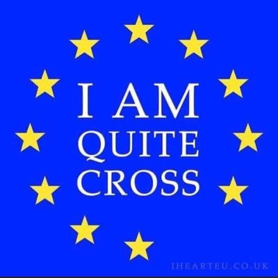 I am, and forever will be, European ... #NotInMyName #RejoinEU #FBPE 🇬🇧🇪🇺🤝💔💙 A lover of all things rock related and ALL the cheese. Pro-Manston! NO DMs!