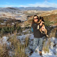 Carolyn McCafferty (@carolynmccaffe2) 's Twitter Profile