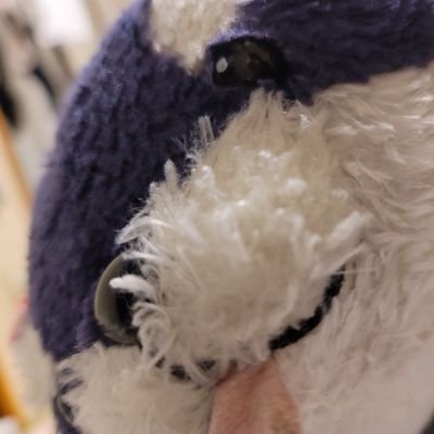 shogi_hiroki's profile picture. Instagram始めました‼️https://t.co/twWBsGb0wb
椚田中→南多摩高→駒大　SE💻：社会人11年目　将棋☗：推し→谷川十七世名人／藤井七冠　熱烈G党⚾：推し→坂本勇人／岡本和真／大勢　AKB：推し→向井地美音、正鋳真優　麻雀🀄・Mリーグ：推し→サクラナイツ🌸