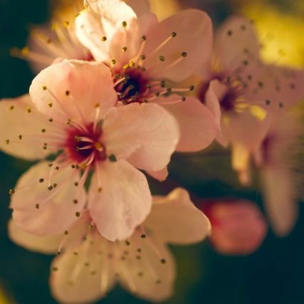 أطمح لأكون الأفضل في عالمي🌸