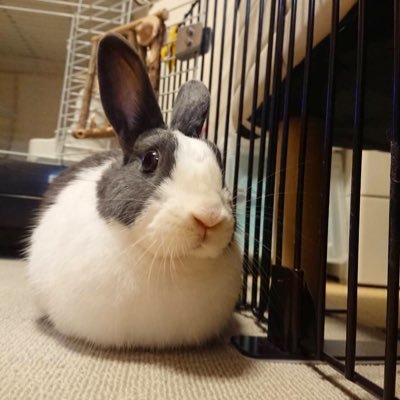 milkholic0831's profile picture. SUPER EIGHT。大倉さん。映画。和服。ディズニー。ドナルド。スプブ。ミシカ。鼓舞。ハピネス。テーブル。ストームライダー。写真。短歌。名古屋の本宅。20↑ 成人済DC夢