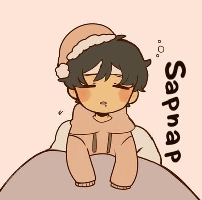 Snapmap6's profile picture. The Dream SMP is the best SMP:)   IM NOT THE REAL SAPNAP