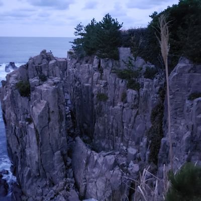 es_ai_19_76's profile picture. 主にテトリス関連(TGMシリーズ)のつぶやきです。TGM通常→9:03:36(2024/12/10)
TGM20G→8:49:13(2024/7/3)