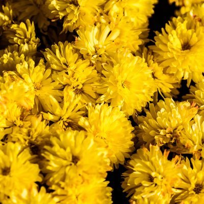 Anela88104742's profile picture. 