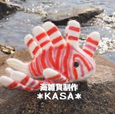 ｢かさ｣です🐟ダイビングで出会った海の生き物を羊毛フェルトやイラストで制作中。デフォルメしつつ可愛いを詰め込んでます！✏LINEスタンプ絵文字販売中【参加予定は固ツイ】🍀ドールアカウント→@kasa_doll