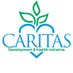 Caritas Development and Health Initiative (CDHI) (@CDHI_NG) Twitter profile photo