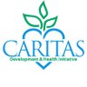 CDHI_NG's profile picture. CDHI is committed to promoting the health and  well-being of women and girls.

(former handle: Caritas_and)