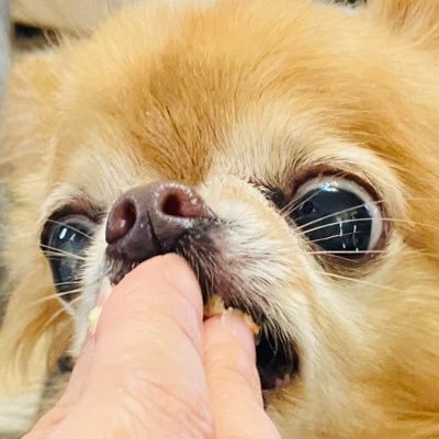 ふじちか🕺単行本3巻発売中さんのプロフィール画像