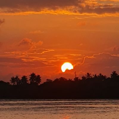 Oliviavilo's profile picture. 