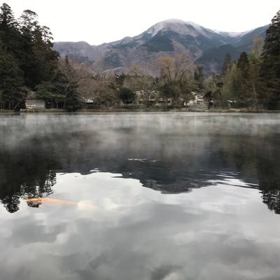 ZPmcHROFTYGWLDN's profile picture. ジャンプチ/スパナチュ/ゾゾゾ/鬼滅の刃/魔王学院非適合者/あつ森/ ツイステ/憂国のモリアーティ/射鵰英雄伝/呪術廻戦