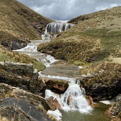 arqmiguelreyes's profile picture. A cuidarse para cuidar a los demás!