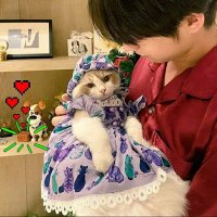 B. 🌞ᥫᩣ Amechan😽 p'PK(@BWforBright) 's Twitter Profile Photo