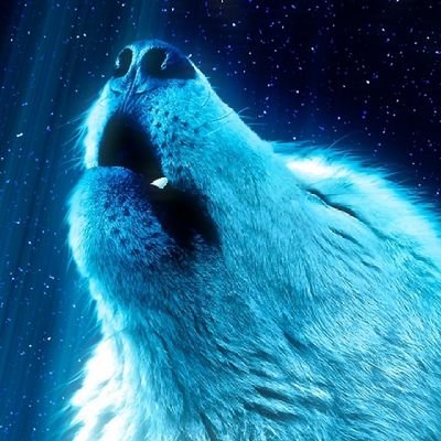 Rodrigo5218257's profile picture. So queria achar ela...