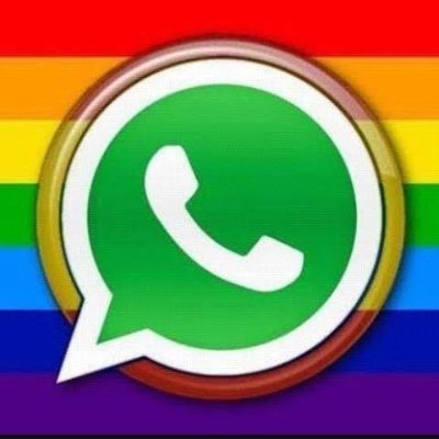 Whatsapp gay
