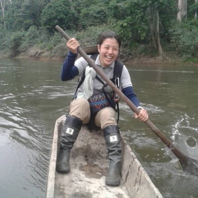アフリカのガボン共和国でマルミミゾウの生態や人とゾウとの関わりについて研究をしています。|Forest elephant in Moukalaba-Doudou, Gabon🇬🇦|Chiba University, Japan🇯🇵