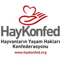 Haykonfed (@haykonfed) 's Twitter Profile