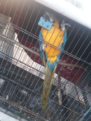 MrMukeshgupta10's profile picture. 10th