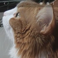 Nuran taşkınsu (@nurantask) 's Twitter Profile