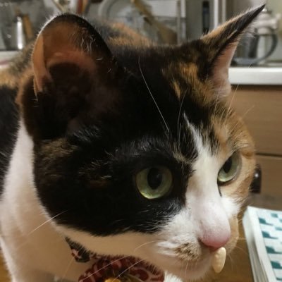 人生山あり谷あり Na Twitteru モンスターハンター 発想の法則2 禁忌の書 思ったより内容しょっぱかった ミラボレアス 始め禁忌のモンスターについては 新規の裏設定とかは皆無 精々が そういった設定はなるべく細かくは決めない という方針くらいか 人生山あり谷あり Na Twitteru モンスターハンター 発想の法則2 禁忌の書 思ったより内容しょっぱかった ミラボレアス 始め禁忌のモンスターについては 新規の裏設定とかは皆無 精々が そういった設定はなるべく細かくは決めない という方針くらいか