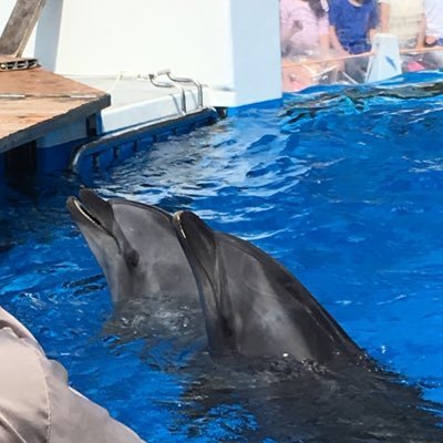 sh_t_9's profile picture. 🌈🕒 あとゲーム 最近は学マス原神