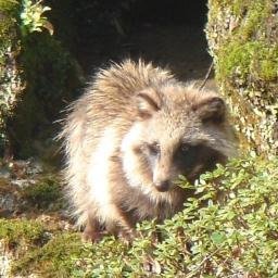 ponnta519's profile picture. 30↑ 趣味の発言を主にします。漫画、アニメ大好き アプリゲームは少々やってる程度 社会人 今は刀剣乱舞とFGO、ツイステにハマり中 舞台の観劇が新たな趣味に…