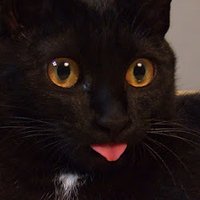 荻野謙太郎(マンガ編集者) (@gouranga_) 's Twitter Profile Photo 荻野謙太郎(マンガ編集者) (@gouranga_) 's Twitter Profile Photo