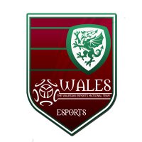 VPG Wales (@vpgwales) 's Twitter Profile