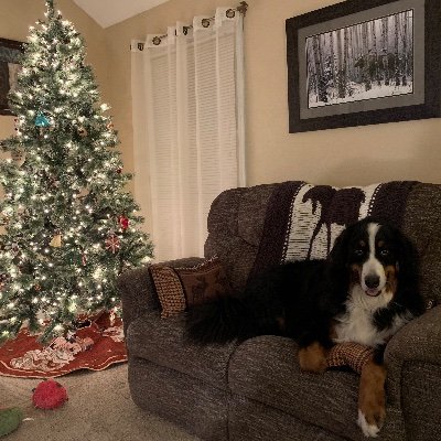 grohman_james's profile picture. Christian rock, praise, & worship